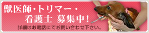 �b��t�E�g���}�[�E�Ō�m��W���I